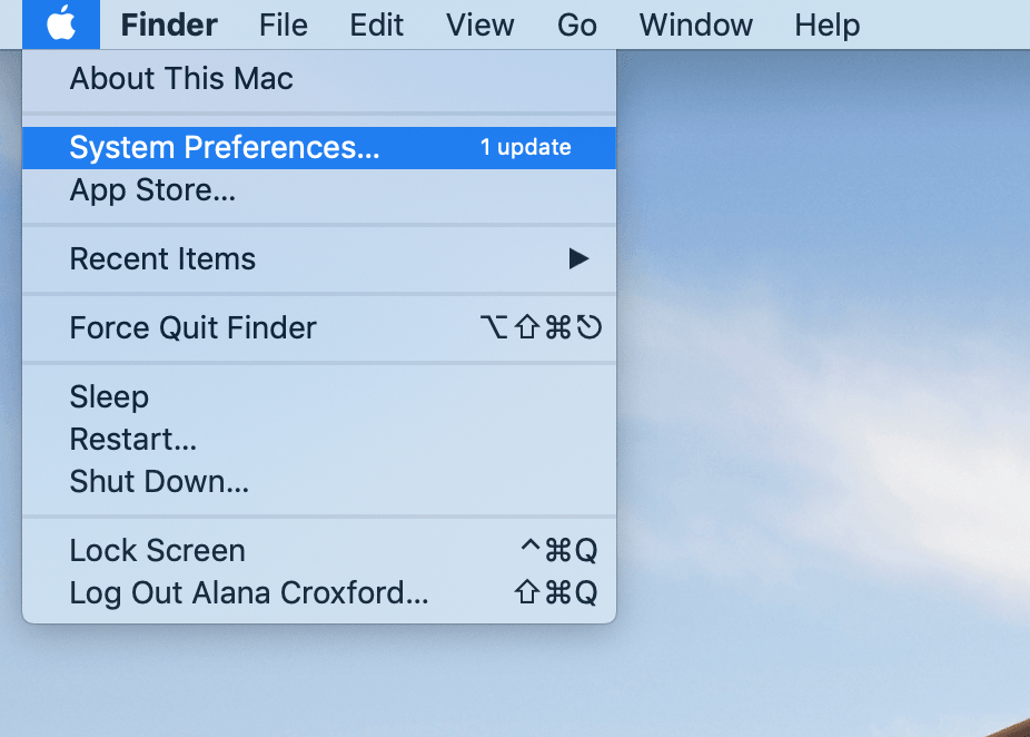 Workshop Software screen showing then click on system preferences